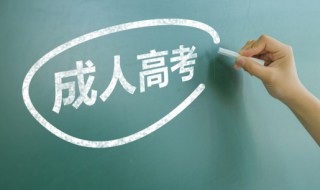 成考有什么专业（成考有哪些专业可以选择）