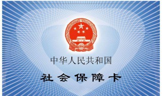 手机怎样查社保卡余额（怎么在手机上交社保缴费）
