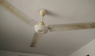吊扇嘎吱嘎吱响怎么办（吊扇嘎吱嘎吱响怎么办啊）