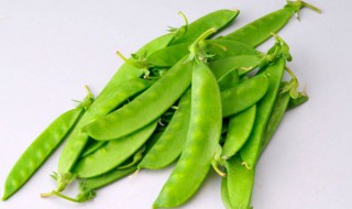 荷兰豆长大了就叫豌豆吗（荷兰豆长大了就叫豌豆吗图片）