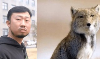 抖音无穷小亮藏狐啥梗什么意思 抖音无穷小亮是谁