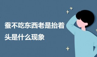 蚕不吃东西老是抬着头是什么现象 为什么蚕抬头不吃东西