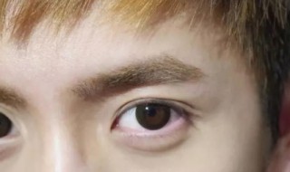 眉毛浓的男人代表什么 眉毛浓的男人代表什么怕老婆