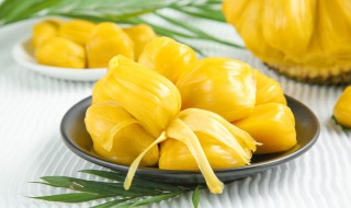 菠萝蜜要怎么存放老是容易坏（菠萝蜜打开后怎么保存不会坏）