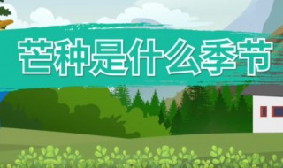 芒种属于哪个季节的节气（芒种属于哪个季节的节气植物）