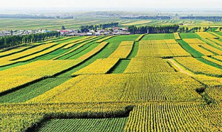 三江平原是哪三江（东北三江平原是哪三江）