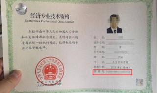 证件编号是什么意思（学信网证件编号是什么意思）