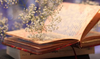 专项应付款是什么 专项应付款是什么意思