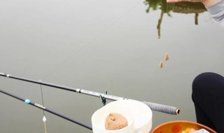 闷竿钓法用多重的坠 闷竿钓法用多重的坠子好