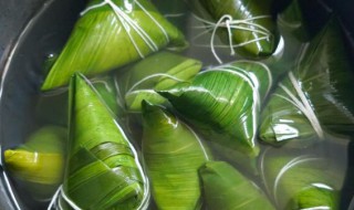 普通锅煮粽子多长时间