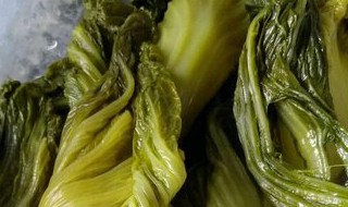 黄菜和碱蓬的区别 黄须菜和碱蓬菜的区别