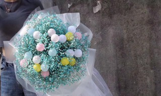 满天星花束多久枯萎（满天星花束多久枯萎了）