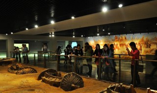 博物馆为什么不能拍照（博物馆为什么不能拍照了）