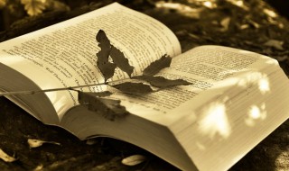 什么是LOF基金 什么是lof基金介绍