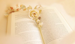 什么是恶意做空 恶意做空犯法吗