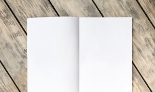 什么是物权保护纠纷（什么是物权保护纠纷案例）