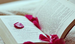 什么是红利再投资（什么是红利再投资型基金）