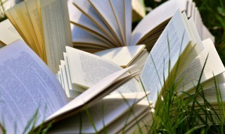 什么叫结算业务（什么叫结算业务费用）