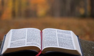 累计摊销是什么（累计摊销是什么的备抵账户）