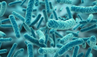 病毒的遗传物质是什么 动物病毒的遗传物质是什么