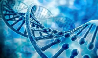 基因突变是什么意思啊（小孩子基因突变是什么意思啊）