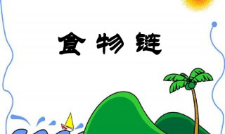 食物链的顶端是什么 食物链的顶端是什么意思