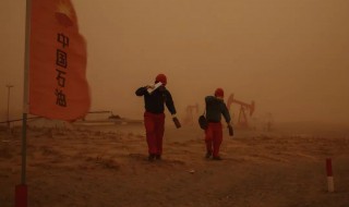 遇到沙尘暴的自救方法 遇到沙尘暴如何自救