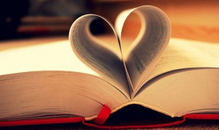 资产的构成内容是什么（资产的构成内容是什么）