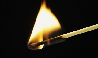 元素的化学性质由什么决定 元素的种类由什么决定