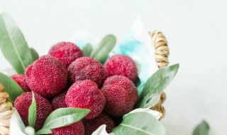 杨梅里的小白虫能吃吗（杨梅里的小白虫能吃吗丁香医生）