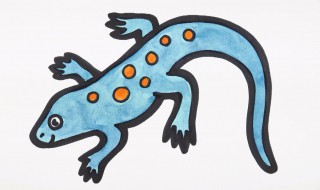 壁虎咬人吗有毒吗 壁虎咬人吗有毒吗会咬人吗