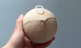 拉环椰子怎么打开窍门（如何打开椰子拉环）