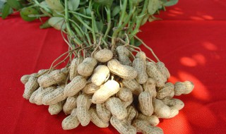 大量花生去壳小窍门（大量花生去壳小窍门有哪些）