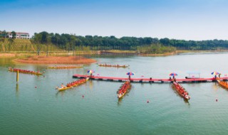 端午节人们会干些什么（端午节人们会干些什么作文）