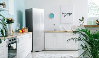 冰箱保护膜怎么撕干净小窍门 如何快速撕下冰箱保护膜