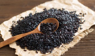 煮黑米易烂的窍门（黑米如何能煮烂）