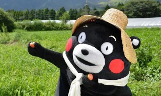 如何给村长和熊本熊拍合照（怎么给村长和熊本熊拍照）