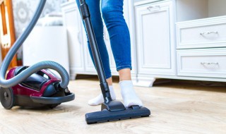 跳蚤怎么彻底消灭怎么去除跳蚤（跳蚤怎么彻底消灭,怎么去除跳蚤）