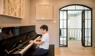 怎么让儿子成为钢琴大师 怎么让儿子成为钢琴大师呢