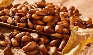 松子如何开口最佳方法（松子开口最有效的方法）