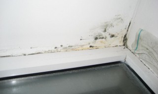 墙面发霉处理妙招有哪些（墙面发霉最好的处理办法）