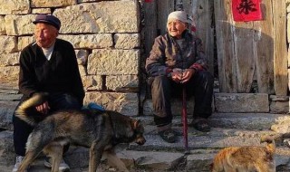 农村怎么养老（农村怎么买养老保险）