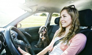 地板油是什么意思 地板油是什么意思怎么打