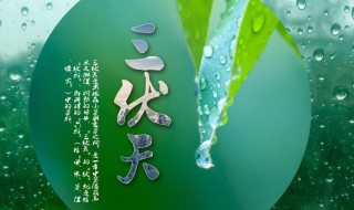 2021年头伏是哪天?（2021年头伏是哪天开始的）