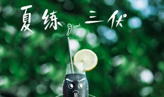 2021年初伏时间 2021年初伏时间到底是哪天