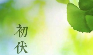 2021年初伏是哪一天（2021年初伏是哪一天伊秀经验）