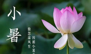 小暑是初伏吗 小暑是初伏吗?