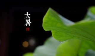 大暑要注意什么（大暑要注意什么饮食）