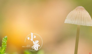 2021小暑是什么时间 2021年小暑是几点几分