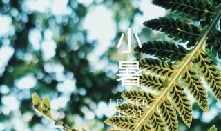 小暑是哪天2021 小暑是哪天2022